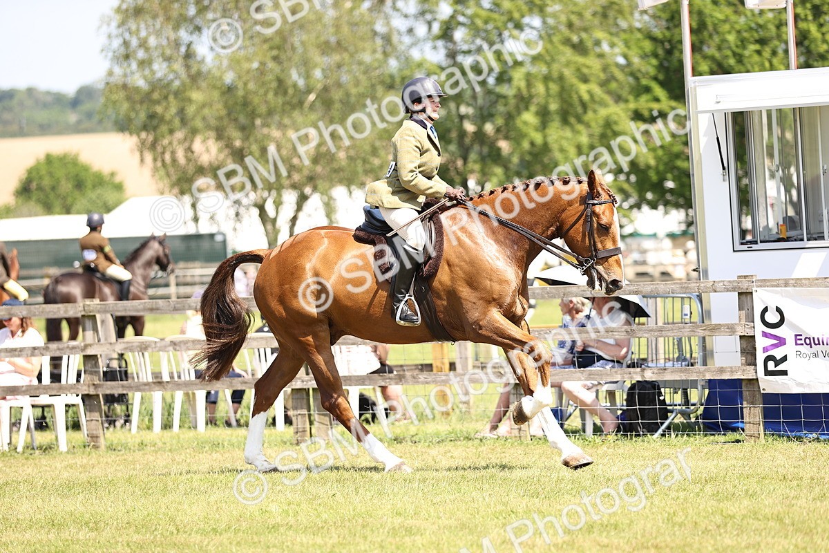 SBM_15144 - Class 79-80 - LIHS BSHA Rising Star Ridden Hunter