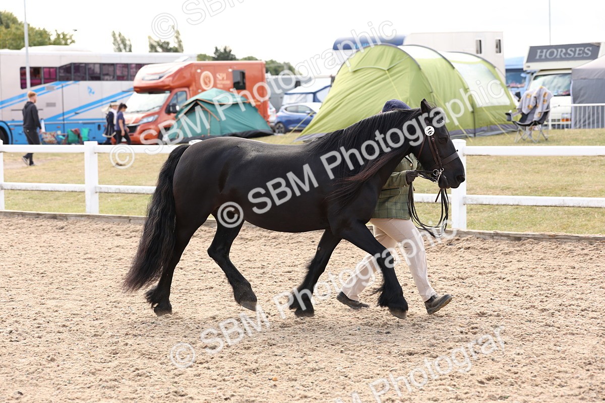 SBM_15076 - Class 209 - IH Veteran Pony