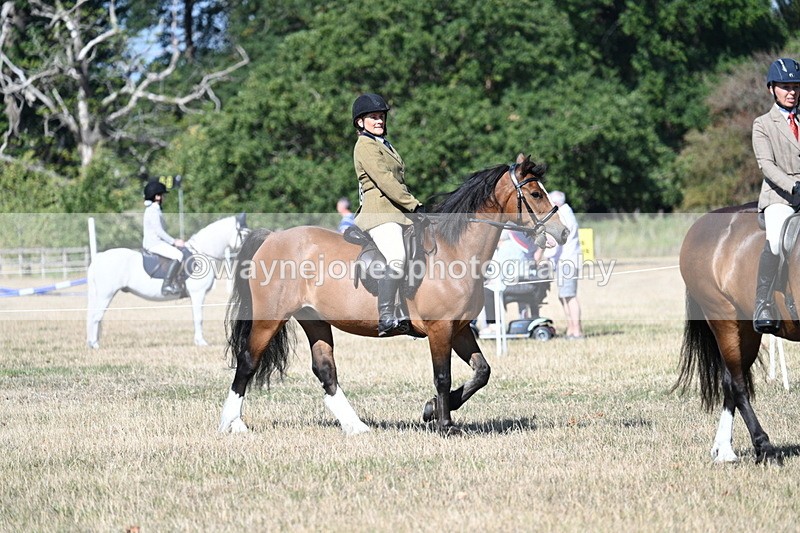 WJ7_3360 - Class 9 Mountain & Moorland Ridden