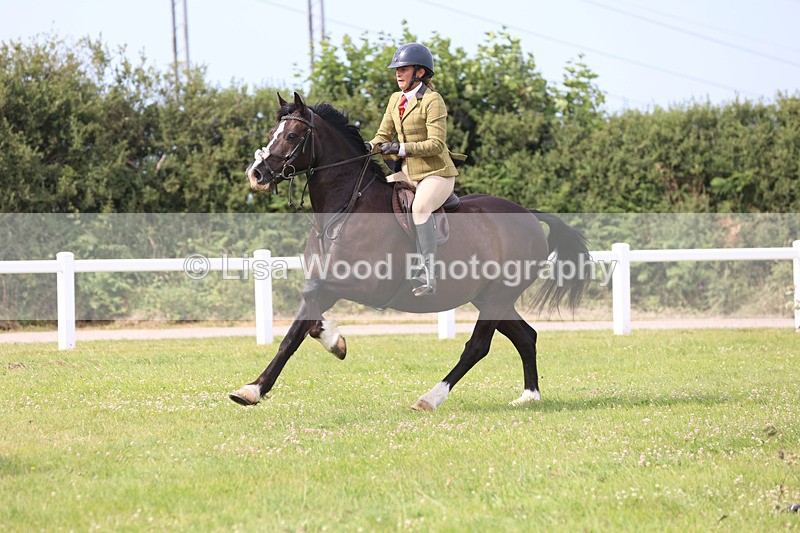 JPP_4037 - Class 24: Working Hunter 90cm
