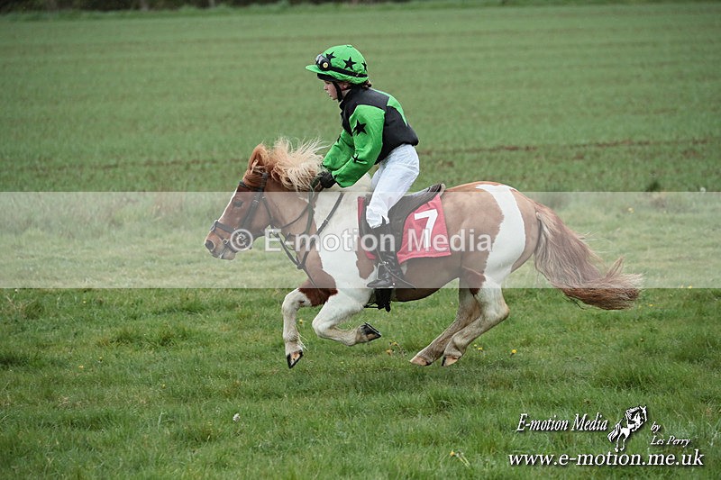 SHETPR 210425 229 - Shetland Ponies Paxford Races 21/04/25