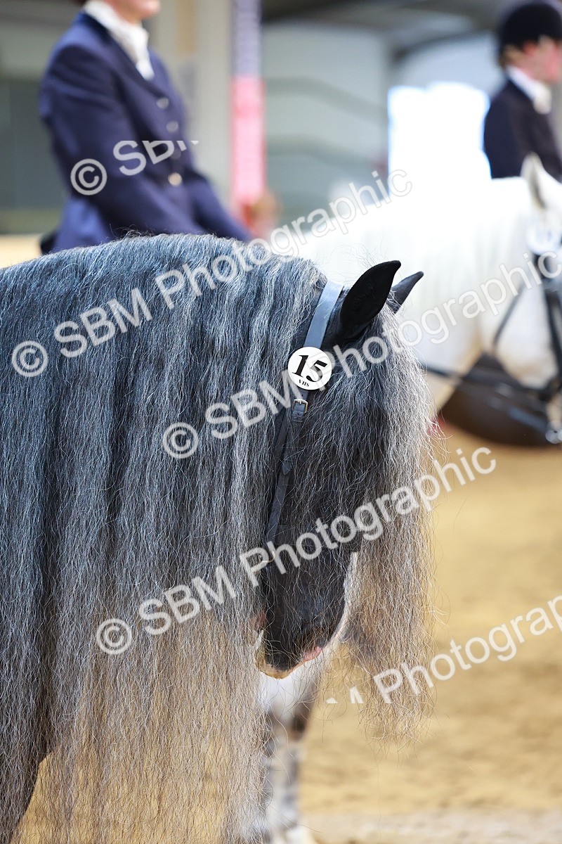 SBM_20414 - Class 906 - Sup Final Ridden Champ