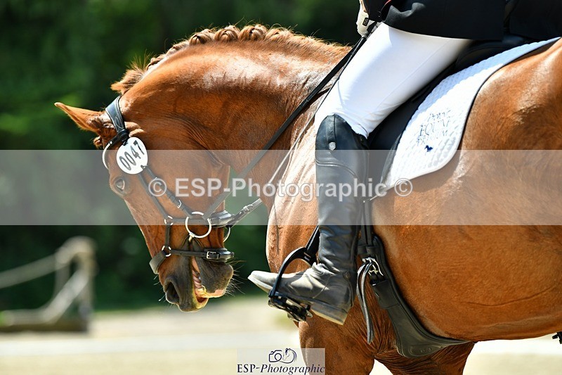 230623-125525-02288 - Cls 4 Novice 37Q 12.45 to End