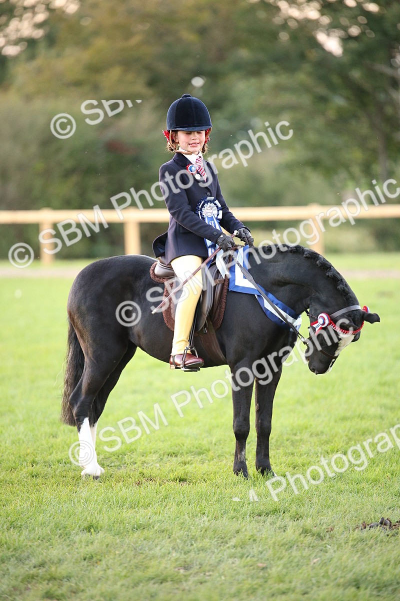 SBM_57111 - Super Supreme Championship