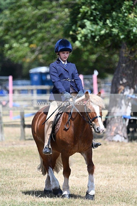 WJ7_3378 - Class 8 Ridden Veterans