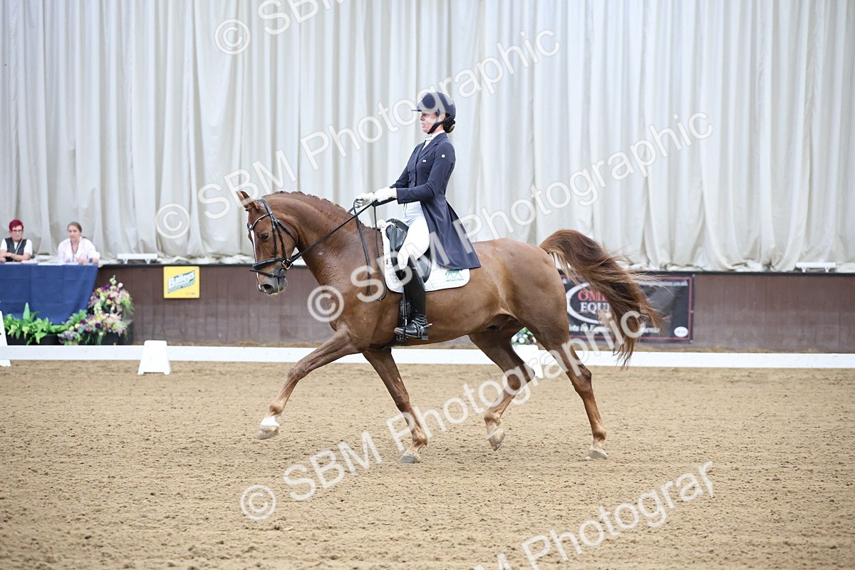 SBM_004346 - Class 9 - FEI Inter 1 Gold - 15.55-16.43