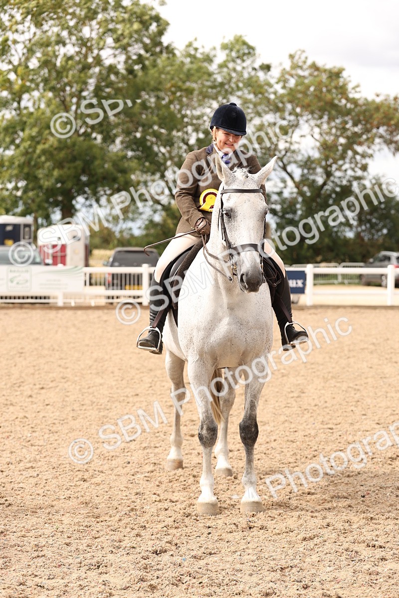 SBM_17280 - Class 213 - Ridden Hunter - Large