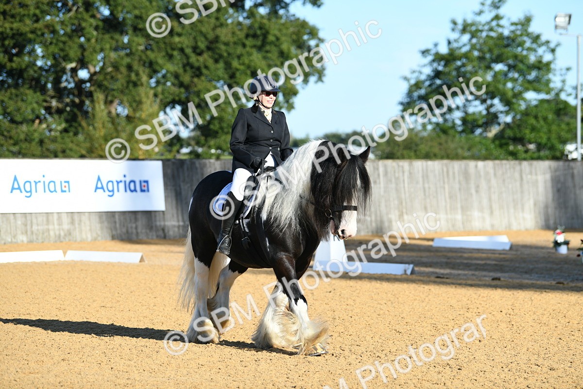 SBM_14478 - D4 - Small Tour Championship - Intro B