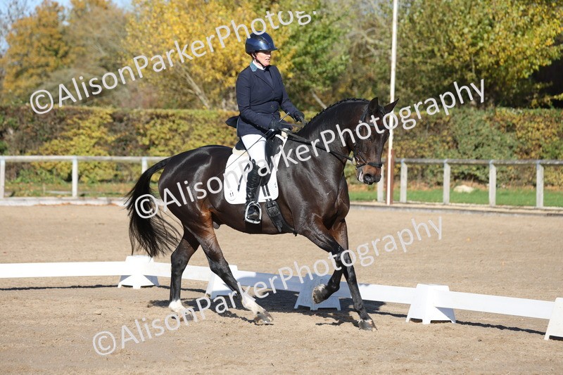 20251102-0989 - Class 5 - Elementary 5