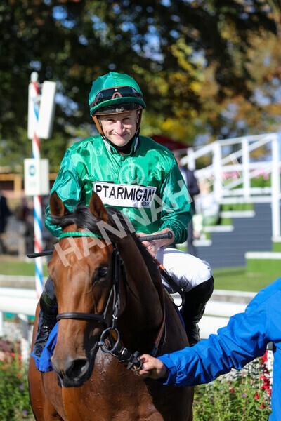 yr08102022r2-47 - Race 2 2.05pm The Coral Rockingham Stakes