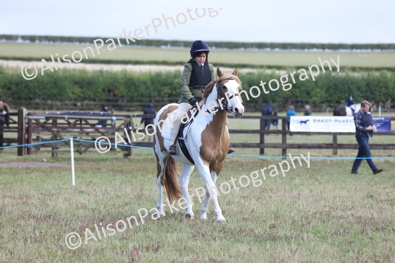20250831-2447 - Class 16 - Family Pony