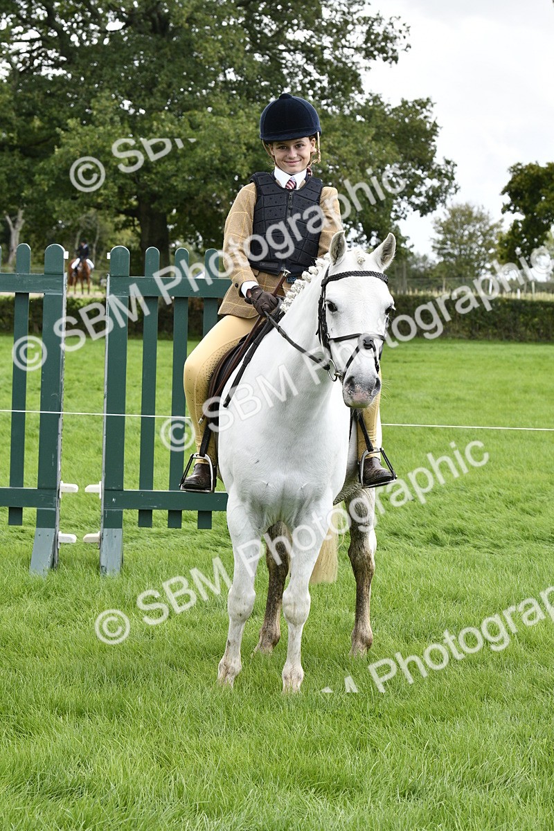 SBM_41613 - S32 - Mountain & Moorland Working Hunter Pony