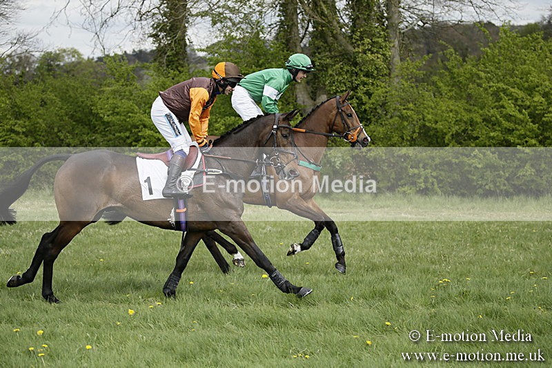 PtP 170417 163 - Old Berks Point-to-Point Lockinge 17/04/17