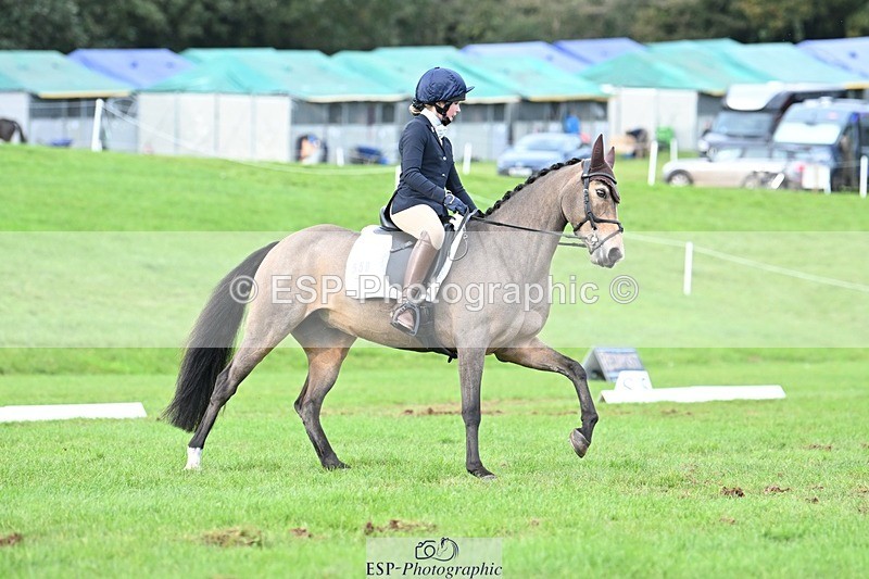 231020-161429-11637 - 558-BATHLEYHILLS.GOLDEN.SPRAY-Cleo.Whitbread-DR