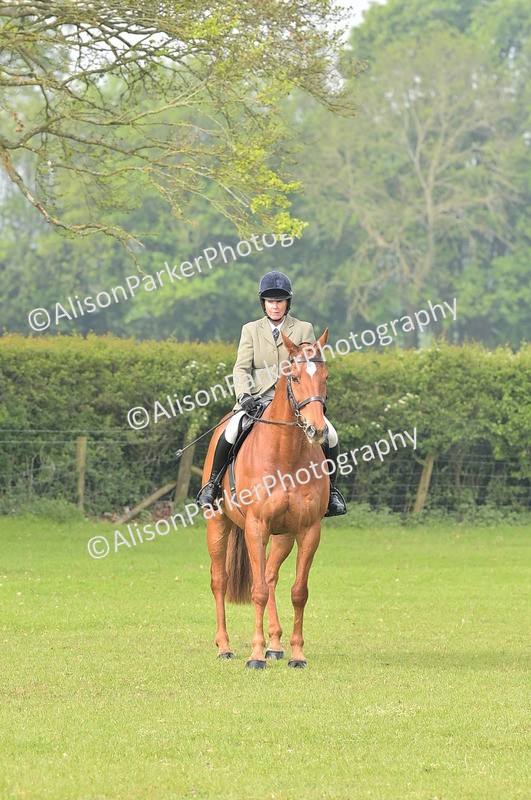 20260426-0843 - Class 18 - Novice Showing