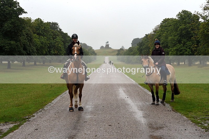 TT3_8558 - Time at Crossing 11:44 to 12:54