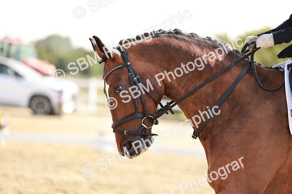 SBM_002495