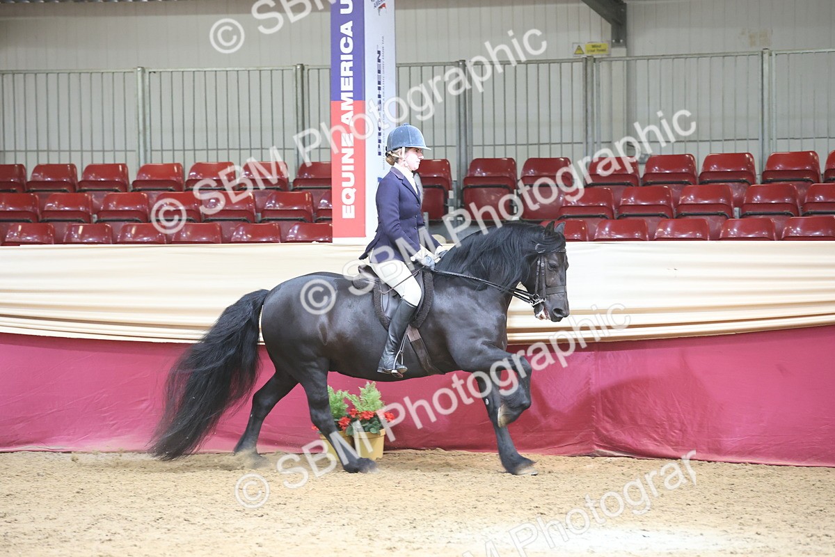 SBM_23736 - class 906 - Supreme Final - Ridden Pre Vet