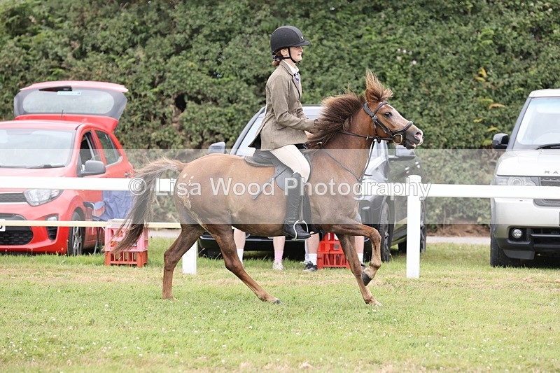 JPP_1717 - Class 18: Tiny Tots Working Hunter Pony