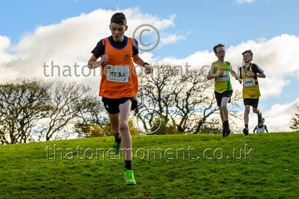 NatRel25-914198 - Young Male Set One