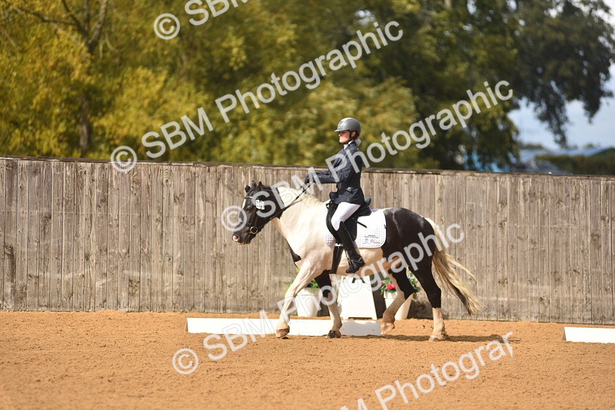 SBM_19918 - D4 - Small Tour Championship Intro 4