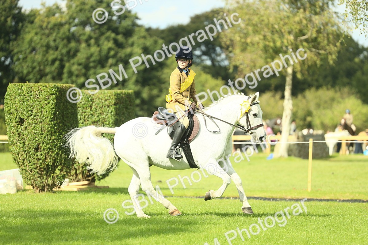SBM_44937 - Working Hunter Pony Supreme Championship