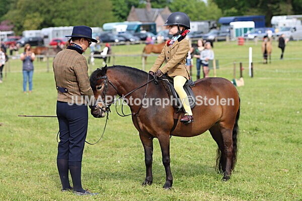 IMG_2265 - Working Hunter