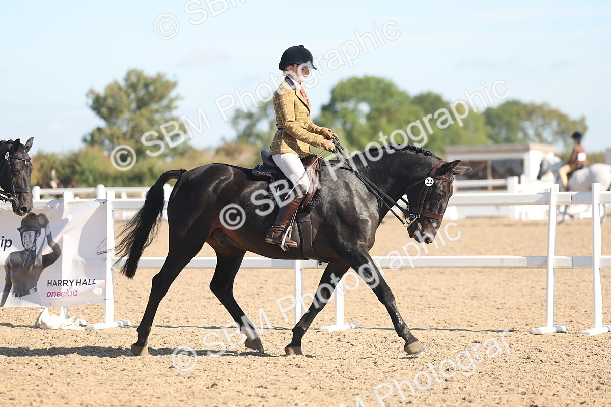 SBM_12279 - Class 304 - Ridden part Bred Horse Pony