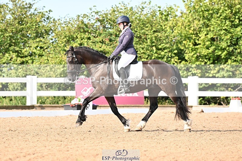 250815-094826-00204 - 027-Samantha.PringTongwynlais.Moon.Dancer