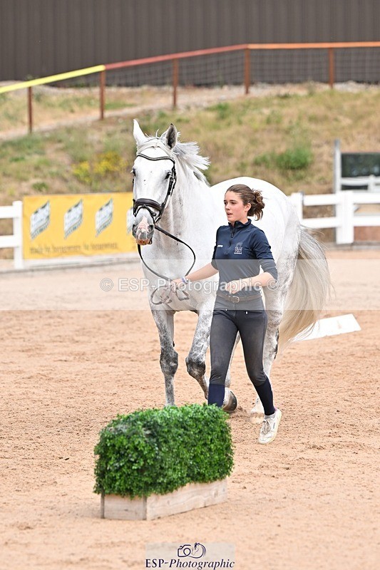 250716-142952-01127 - Trot Up 1.30 to 2.30
