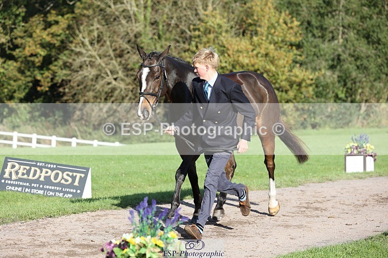 241027-094845-15519 - 542-Tommy.Marsden-HARD.KNOCK.LIFE