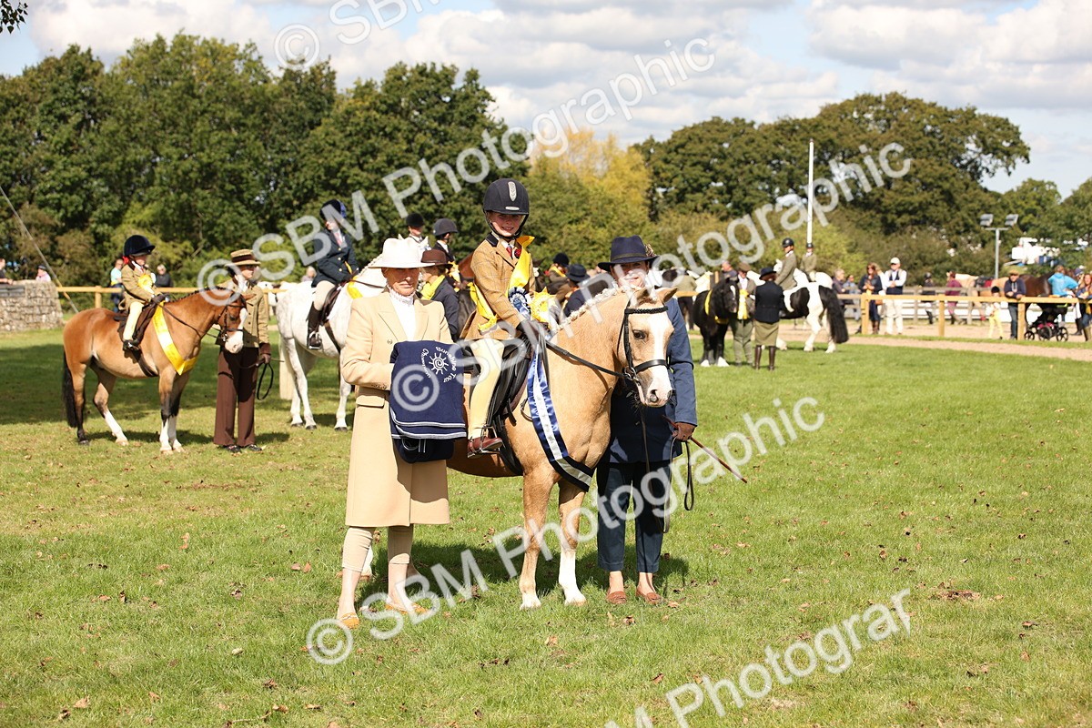 SBM_40929 - Fun Showing Supreme Championship