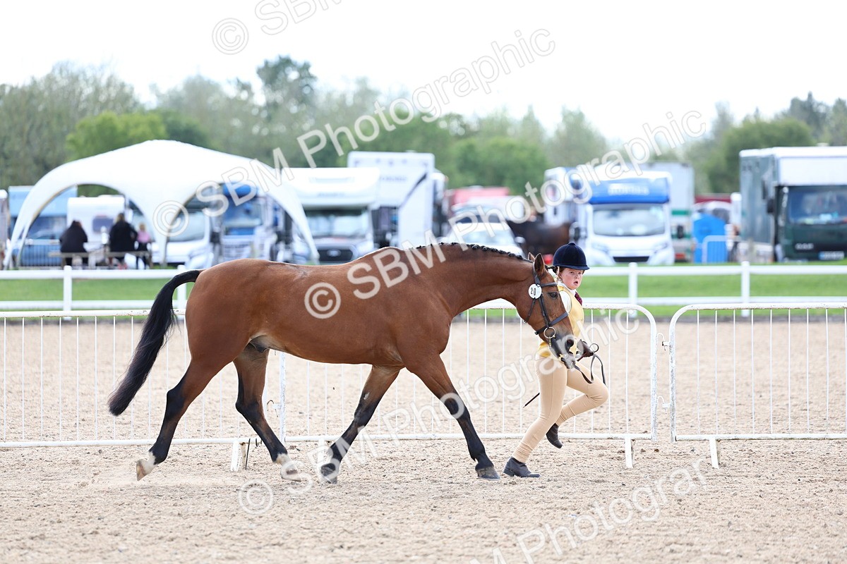 SBM_15323 - Class 312 - IH Competition Horse-Pony