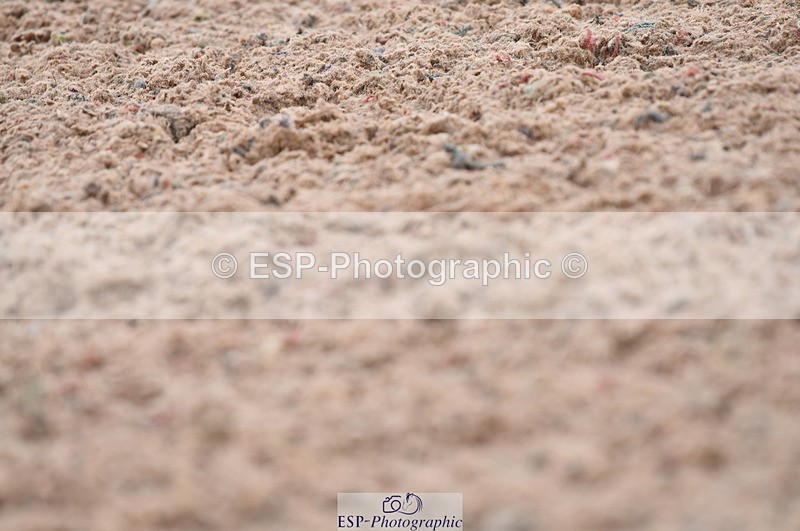 230708A-142540-03055 - Novice 24