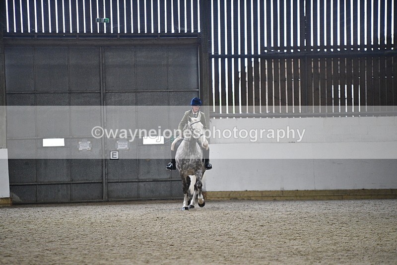 WJ5_8223 - Class 14 Novice Ridden/Rider