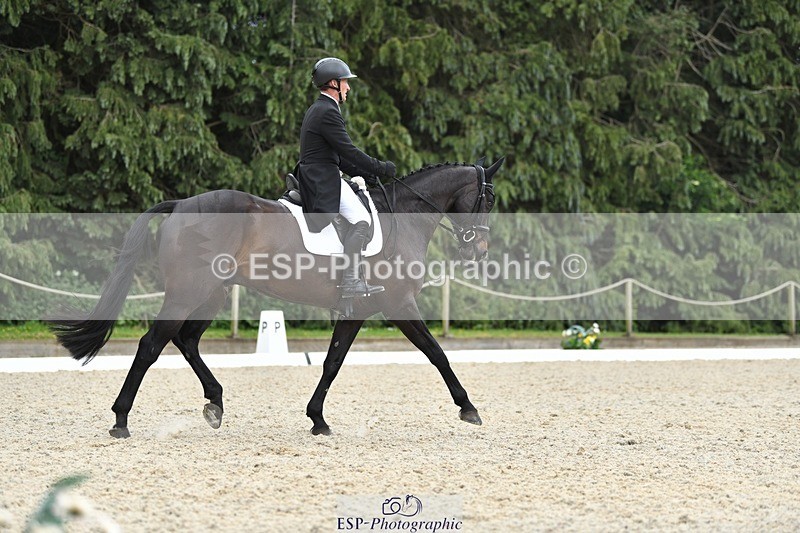 230525-141348-03118 - 319-RINGFORT_REVE_DU_MOULIN-Andrew_Downes-WEDTrotUp+DR