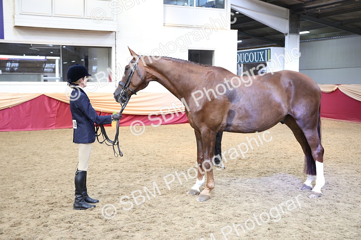 SBM_24786 - Class 906 - Supreme Final - Ridden Pre Vet