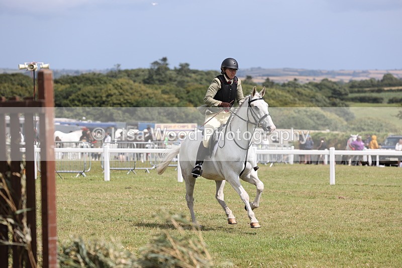 JPP_2086 - Class 19: Working Hunter 60cm