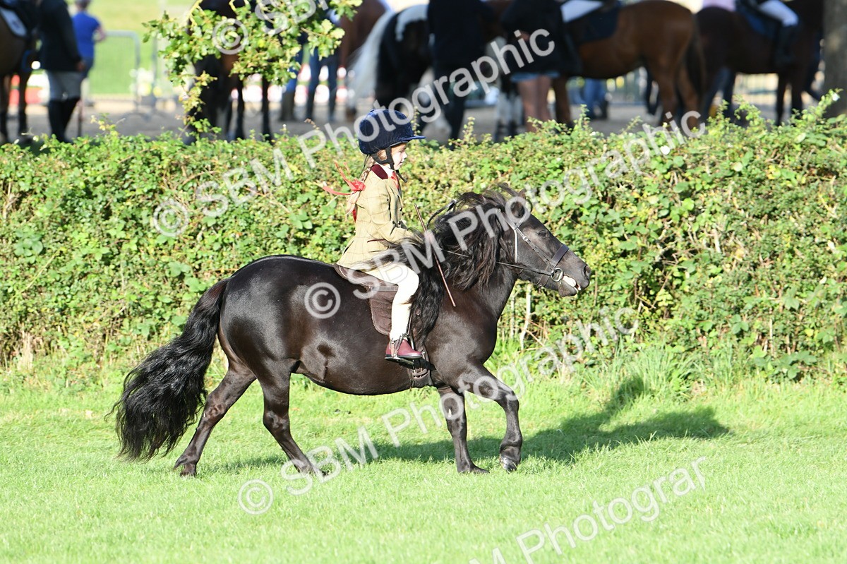 SBM_54065 - S23 - 1st Ridden Mountain & Moorland Pony