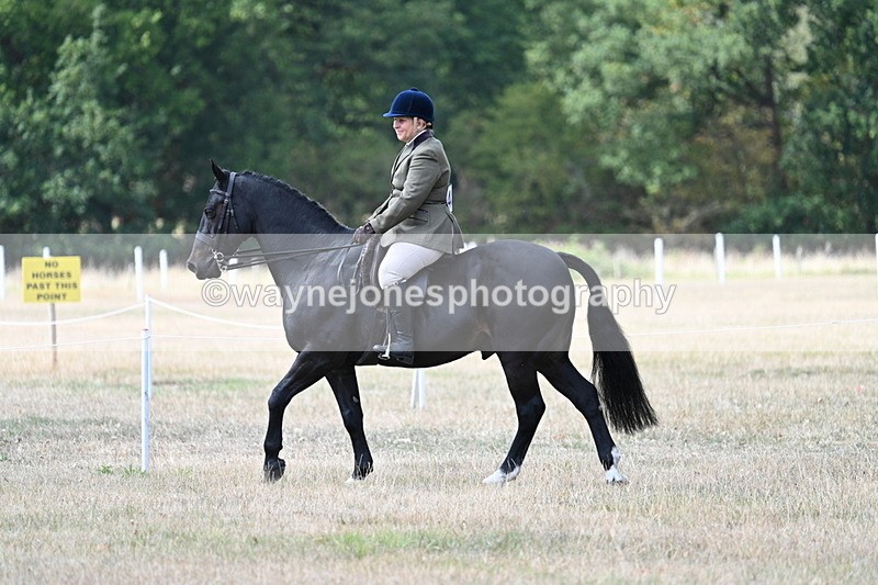WJ7_5768 - Class 13 Ridden Veterans