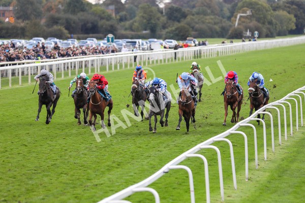 121024-Race 4-Fearless Freddy-7279 - Race 4 3.15pm Play Coral Racing-Super-Series For Free Nursery Handicap