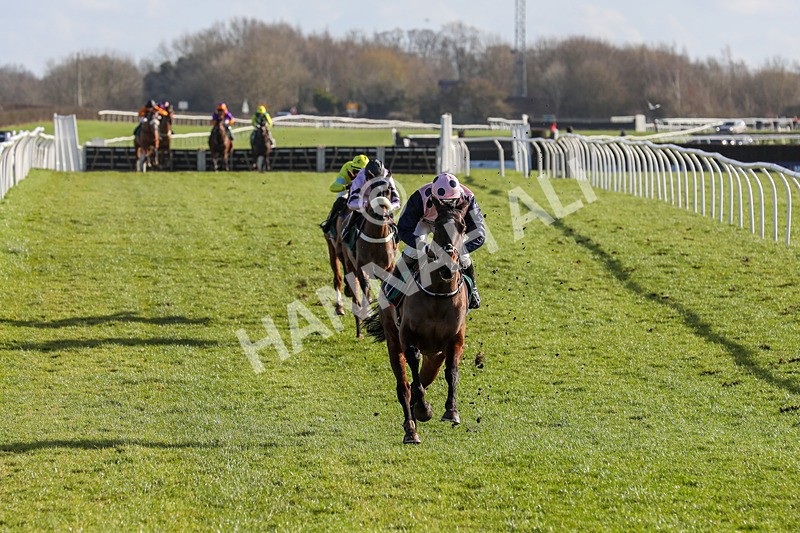 120224-Race 1-Pickanumber-7222 - Race 1