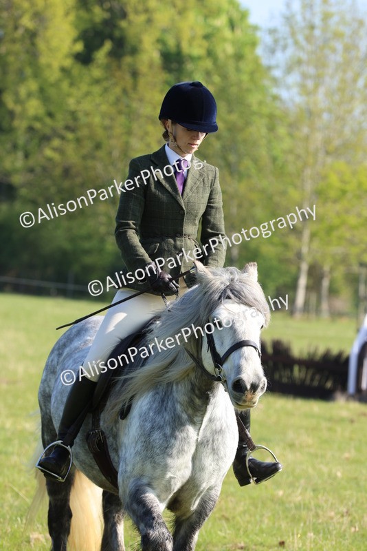 20250427-0554 - Class 17 - Novice Showing