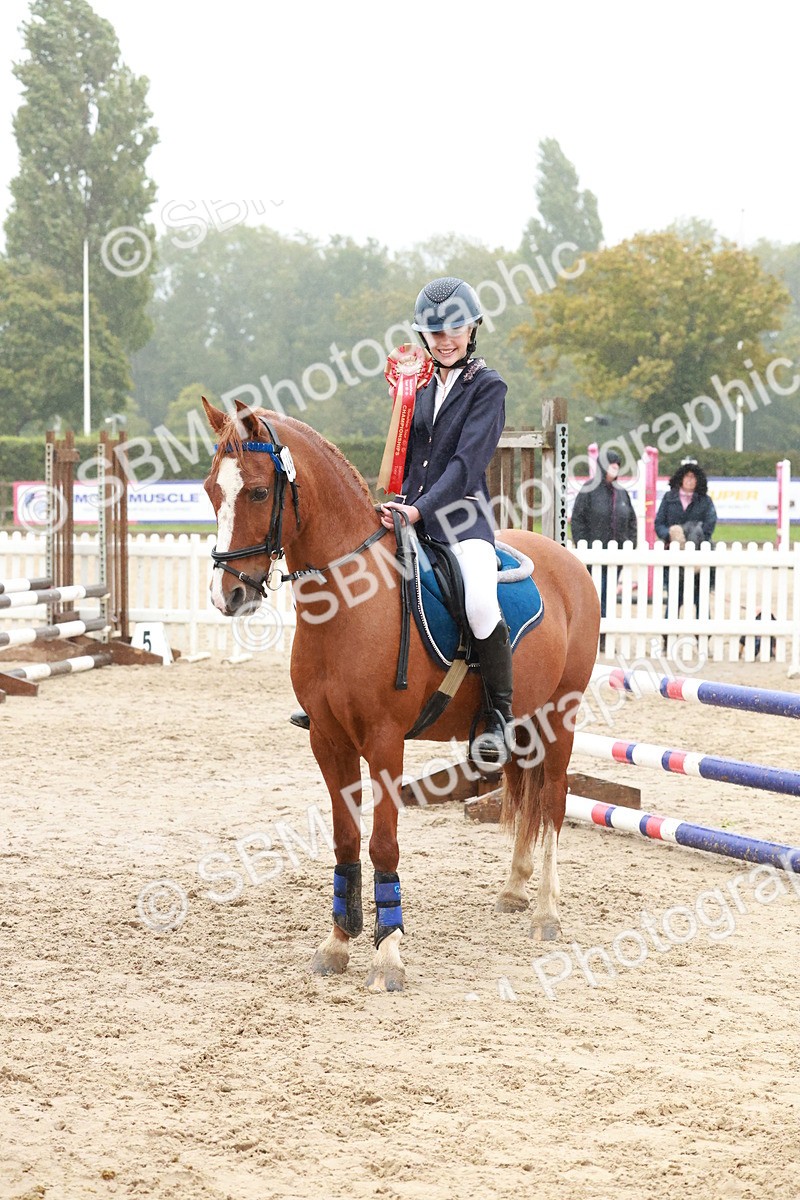 SBM_73478 - Supreme Championship Junior Pony 60cm & 65cm