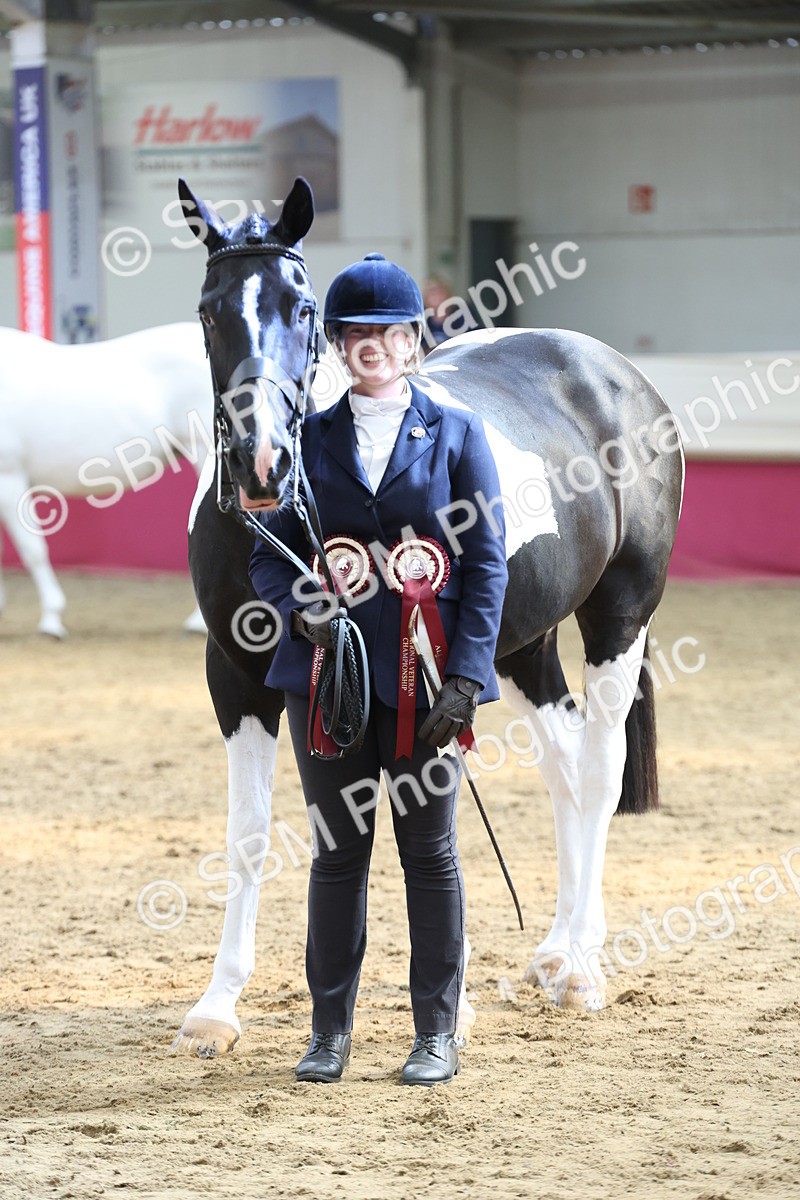 SBM_23431 - Class 903 - Supreme Final - IH Pre Vet