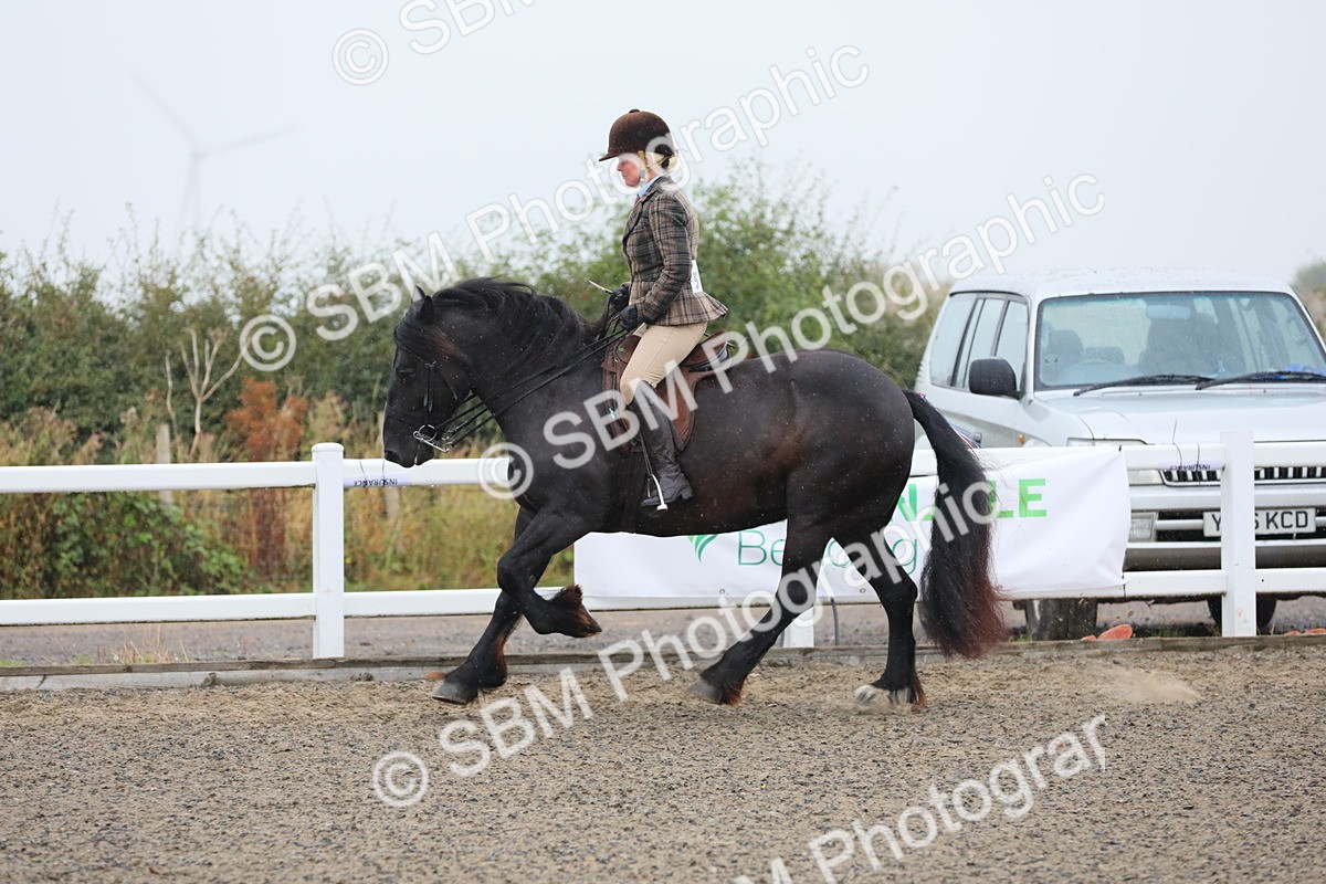 SBM_19871 - Class 801 - Ridden Veteran