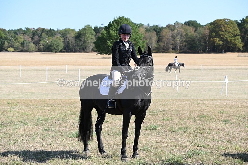 WJ6_7605 - Class 34 Judges Choice