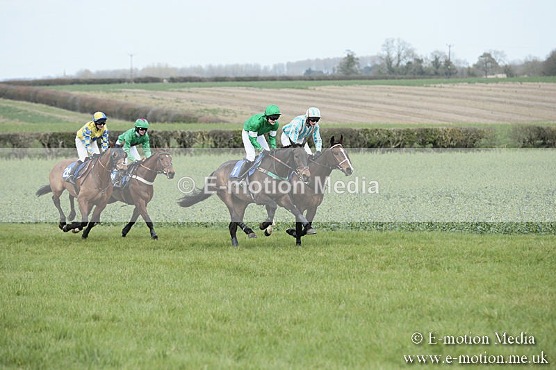PtP 230319 172 - VWH Hunt Siddington Point-to-Point Racing 23/03/19