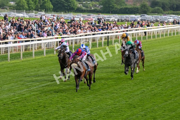 160524-Race 5-Big Evs-6302 - Race 5 4.15pm  British Stallion Studs EBF Westow Stakes