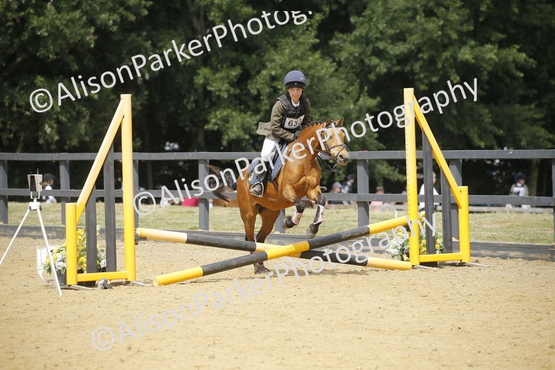 20250622-3978 - 50cm